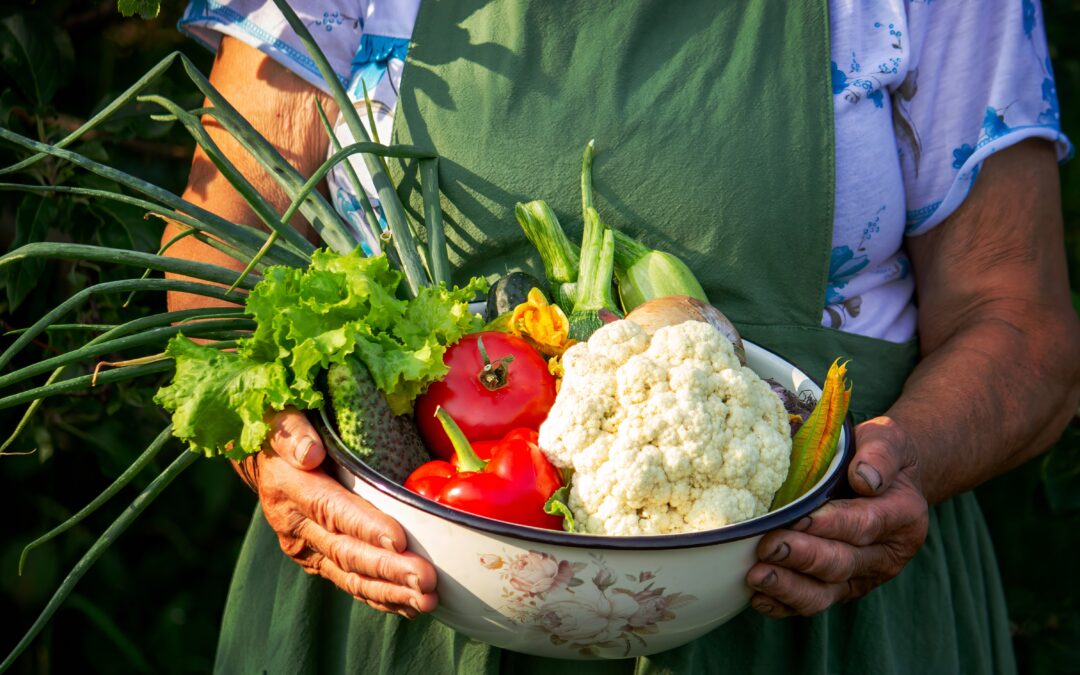 Dieta wegetariańska a budżet – tanie źródła białka i planowanie posiłków bez marnowania