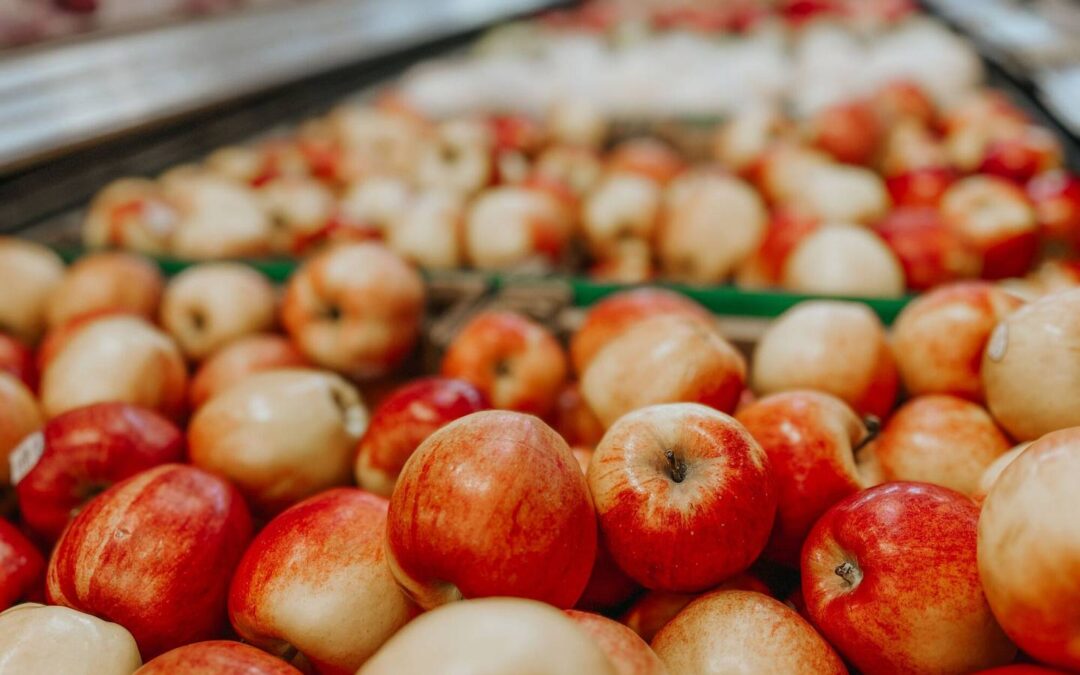 Skup jabłek, cena i warunki jakie warto znać przed sprzedażą