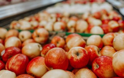 Skup jabłek, cena i warunki jakie warto znać przed sprzedażą